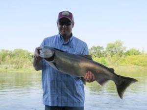 Mark W. - King Salmon Sacramento River, SC2 Outdoors Fishing